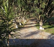 Chácara Salesópolis / SalesÓpolis