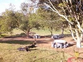 Chácara Salesópolis / SalesÓpolis